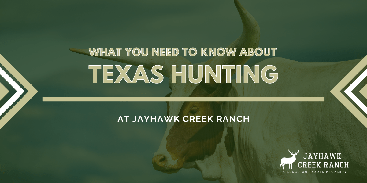 Let's Talk About Texas Hunting